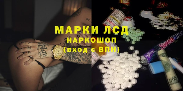 сатива Аркадак