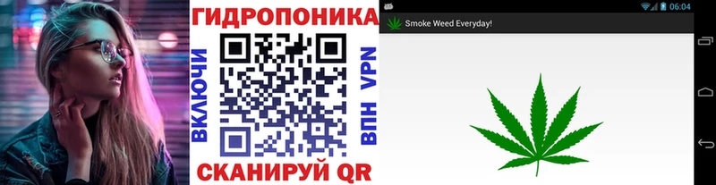 Марихуана тримм  Сураж 